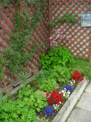 2017-06-21kadan.JPG