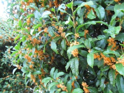 IMG_5648.jpg