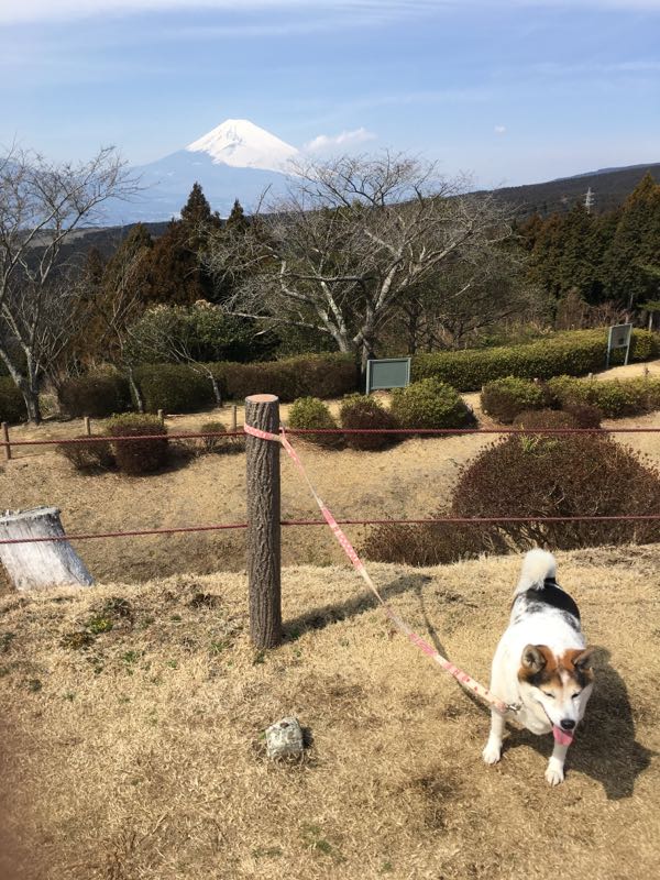 rblog-20170305200830-01.jpg