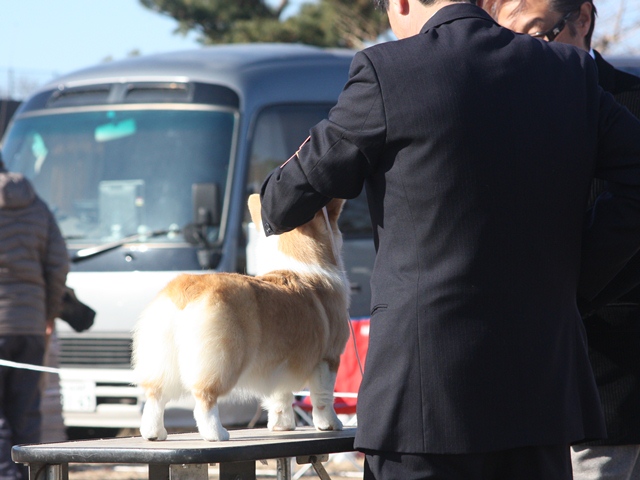 IMG_0446 - コピー.JPG