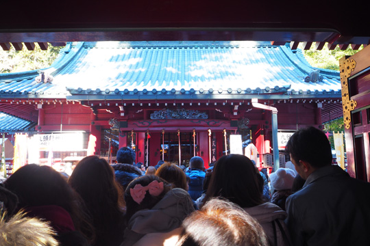 P1030093.jpg