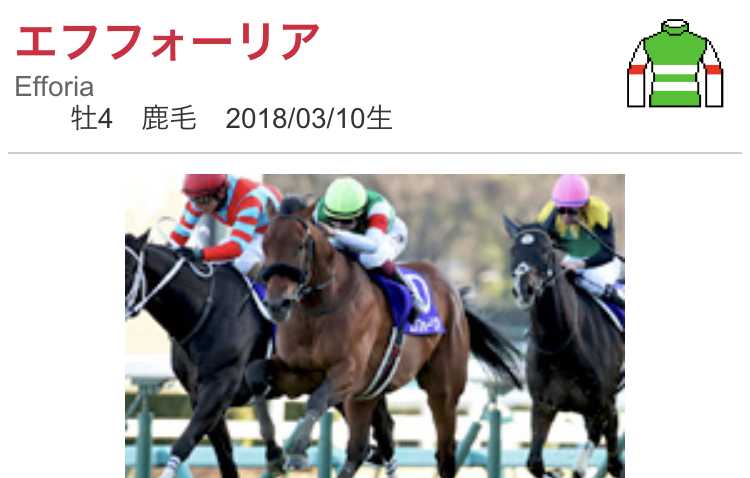 【競馬選択と集中】2022年宝塚記念 買い目 | 【競馬選択と集中】上り坂生活2022 - 楽天ブログ