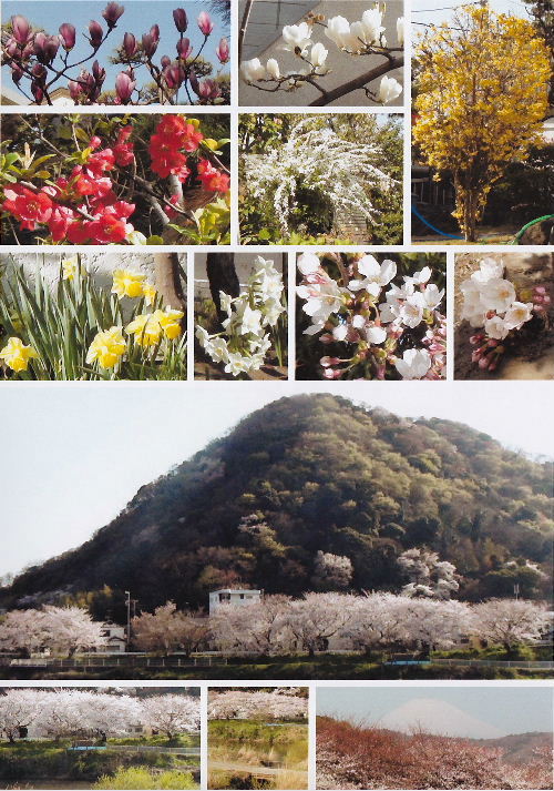 2012_3A