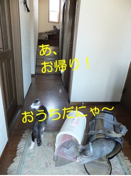 20121006_7.jpg