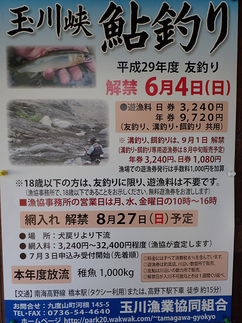 resize0025.jpg