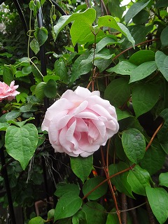 DSC05255.jpg