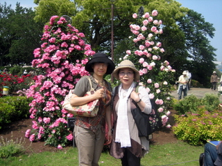 Mさんと私