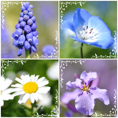 花4枚
