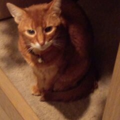 おかえりなさい２