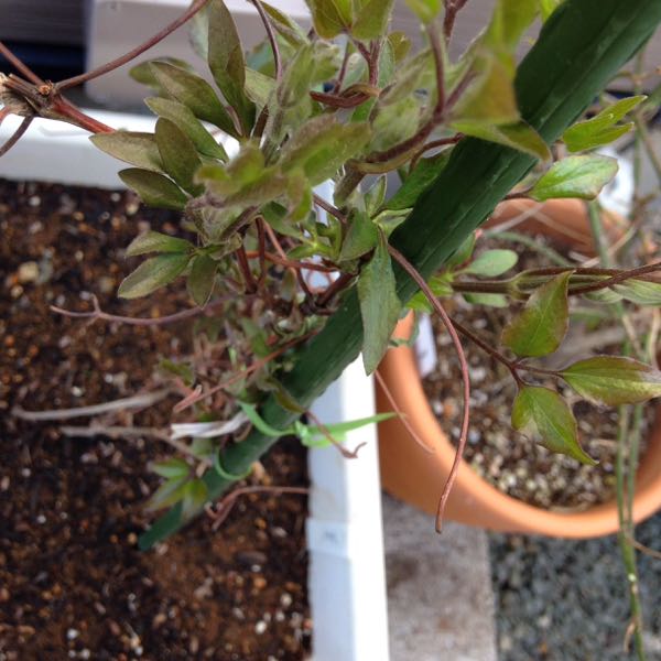 rblog-20160407224806-04.jpg