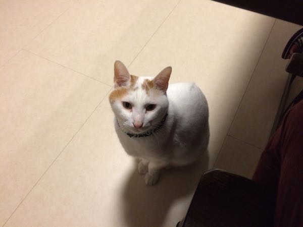 rblog-20150621161856-04.jpg