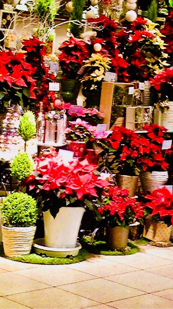 rblog-20171224200100-04.jpg