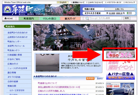 桜場所.jpg