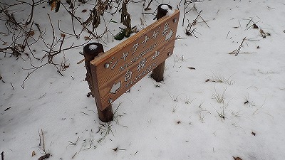 PA221544　11：26小さな.jpg