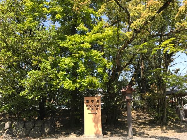 rblog-20170505145013-00.jpg