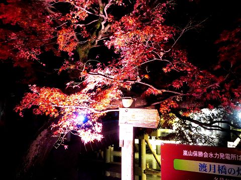 夜の京都 渡月橋ライトアップ 19年12月15日 星とカワセミ好きのブログ 楽天ブログ