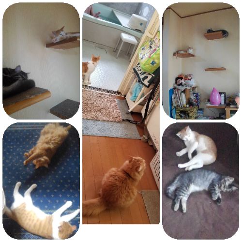 rblog-20181014130051-04.jpg