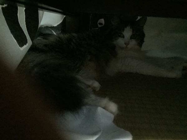 rblog-20150821224318-03.jpg