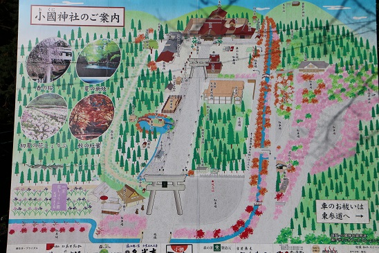 161204_02小國神社（杏莉の七五三）10%