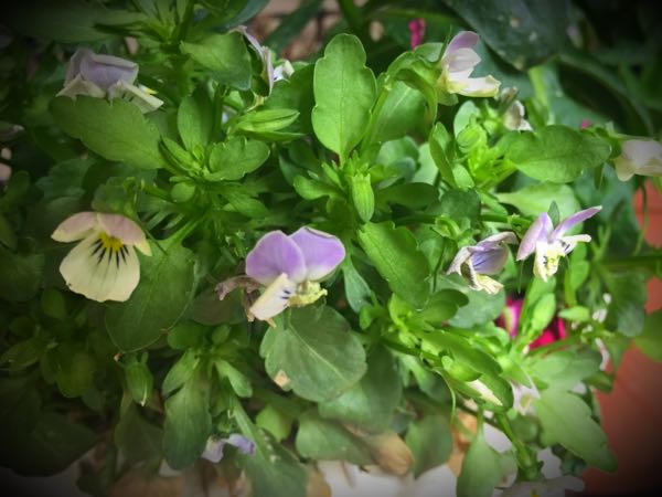 rblog-20160427175906-00.jpg