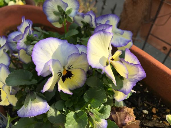 rblog-20180324163149-06.jpg