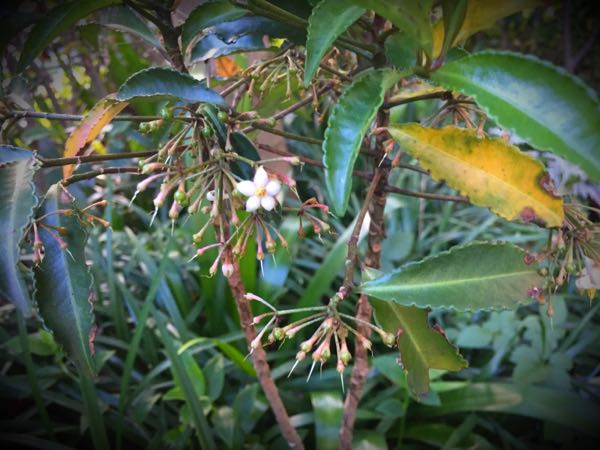 rblog-20160731174025-06.jpg