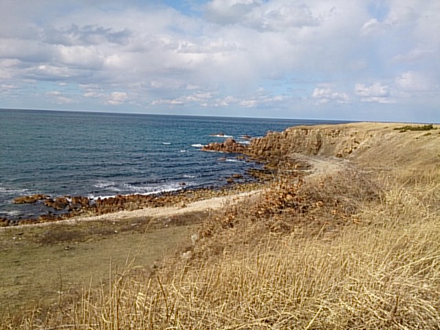 DSC_0006.jpg
