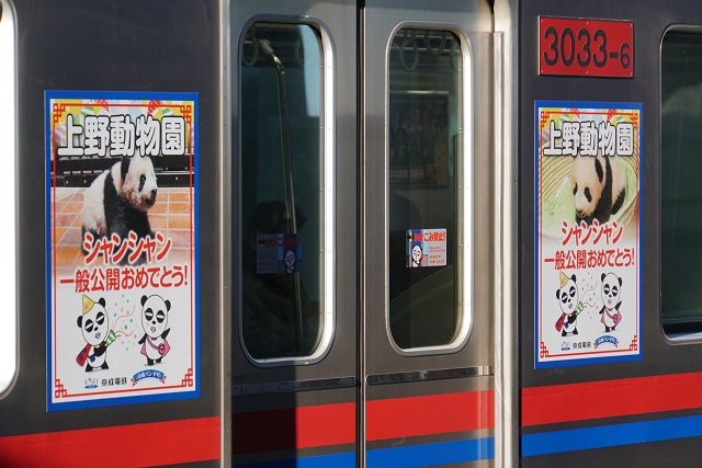 京成 「京成パンダ号」 & スカイライナ－2500万人達成2