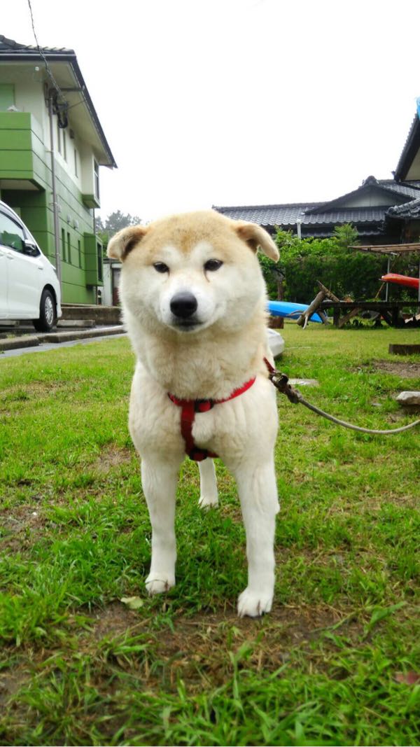 rblog-20160503180241-05.jpg