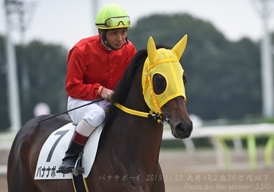 07BananaBoy112315TCK1R_01