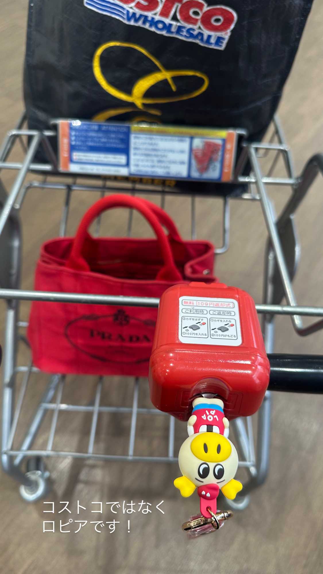 ロピアのコインキー🔑 | ときわ家通信 - 楽天ブログ