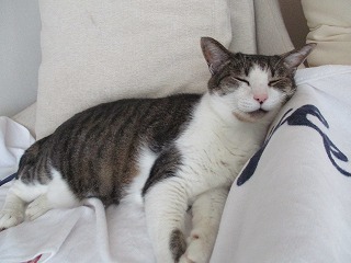 IMG_8139ss.jpg