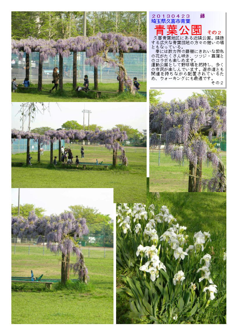 20130423aobakouen4-fuzi.jpg