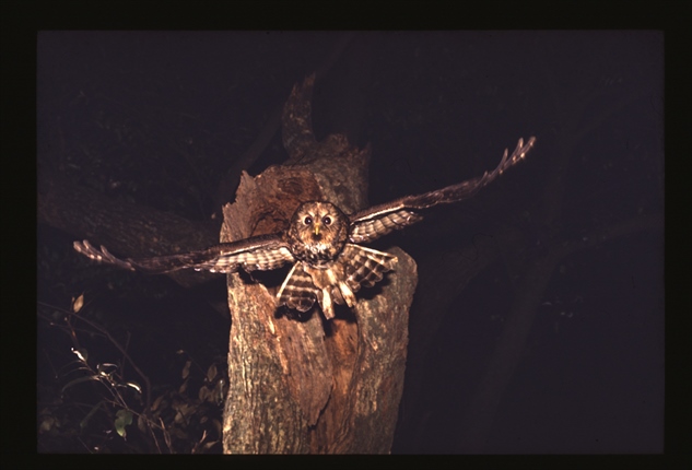 10.名称未設定 4_R.jpg