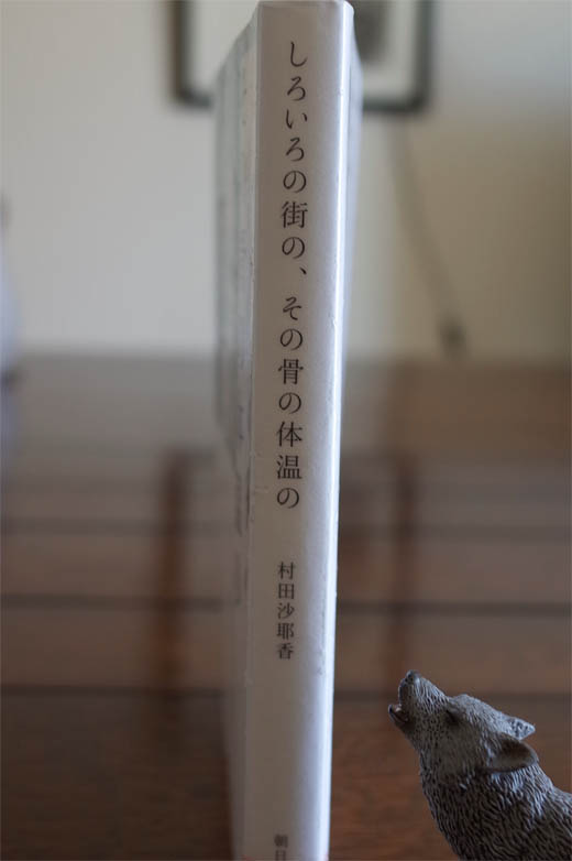 その街の骨の体温の