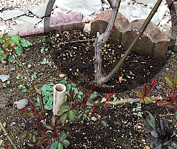 rblog-20180410182600-04.jpg