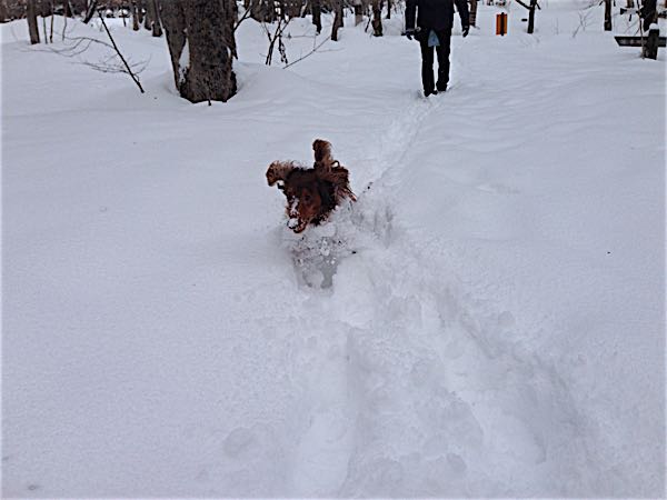 rblog-20150217153600-04.jpg