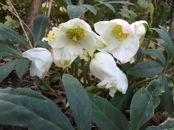 rblog-20151205165805-00.jpg
