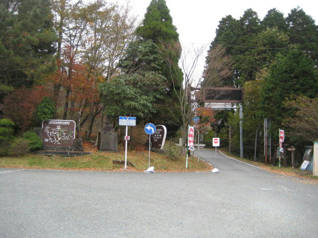 IMG_9863.JPG