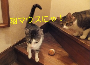 20121114_4.jpg