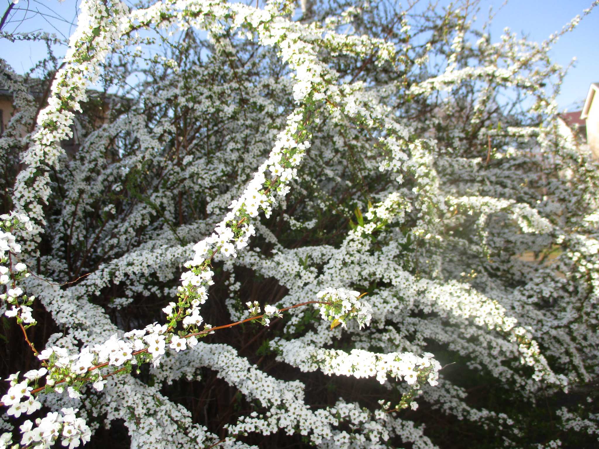 晴　陶　句　読