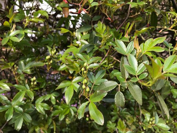 rblog-20190401164419-09.jpg