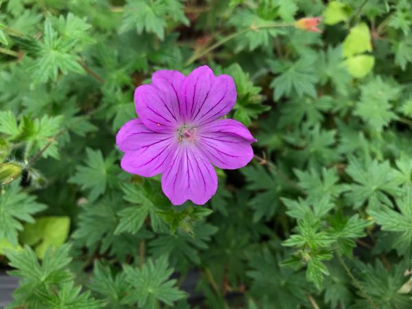 rblog-20180531150337-04.jpg