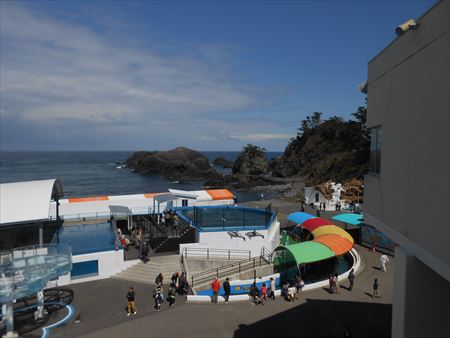 越前松島水族館