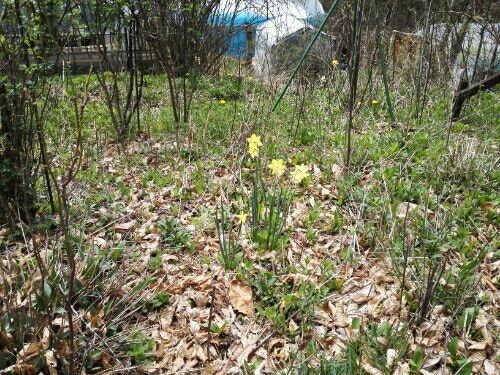 rblog-20160424223328-06.jpg
