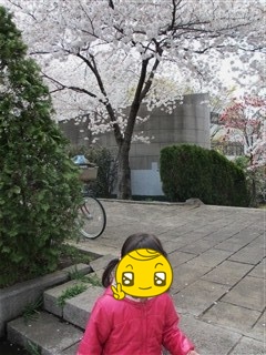 IMG_0274_R.jpg