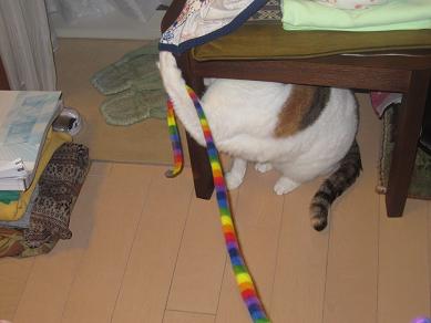 IMG_3917f.JPG