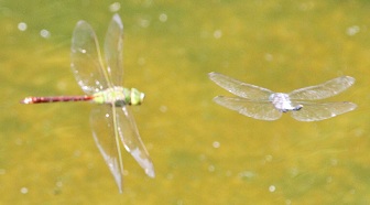 E7D_8403-2.jpg