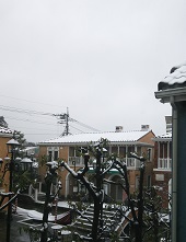DSC_8168-30.jpg