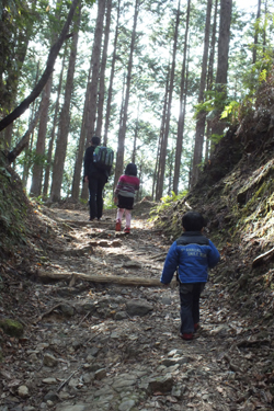 熊野古道２